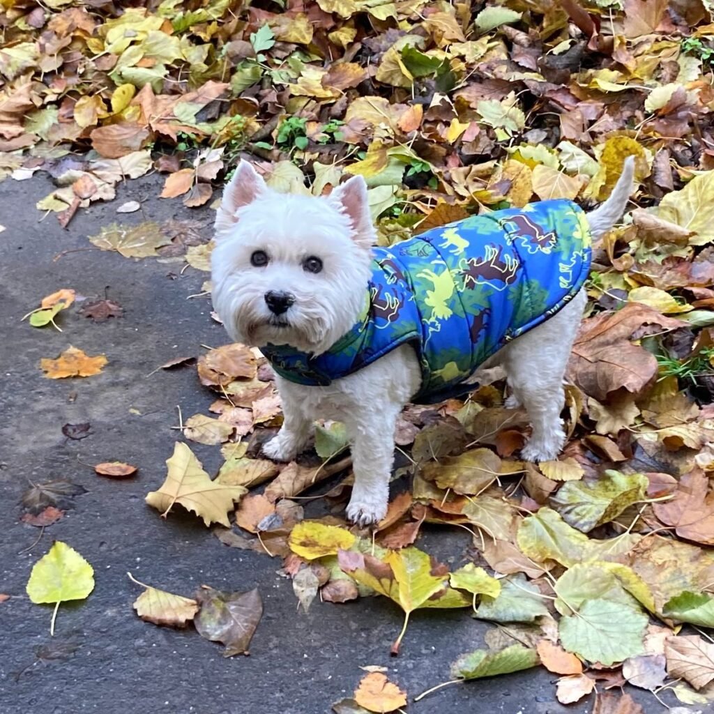 Kép #1 a Edina D. képből