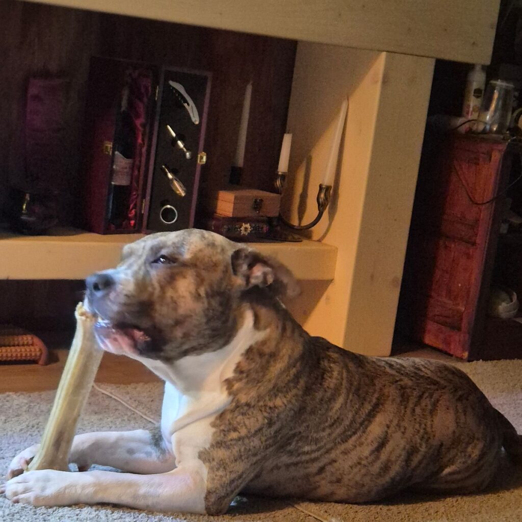 Kép #1 a Ildikó képből