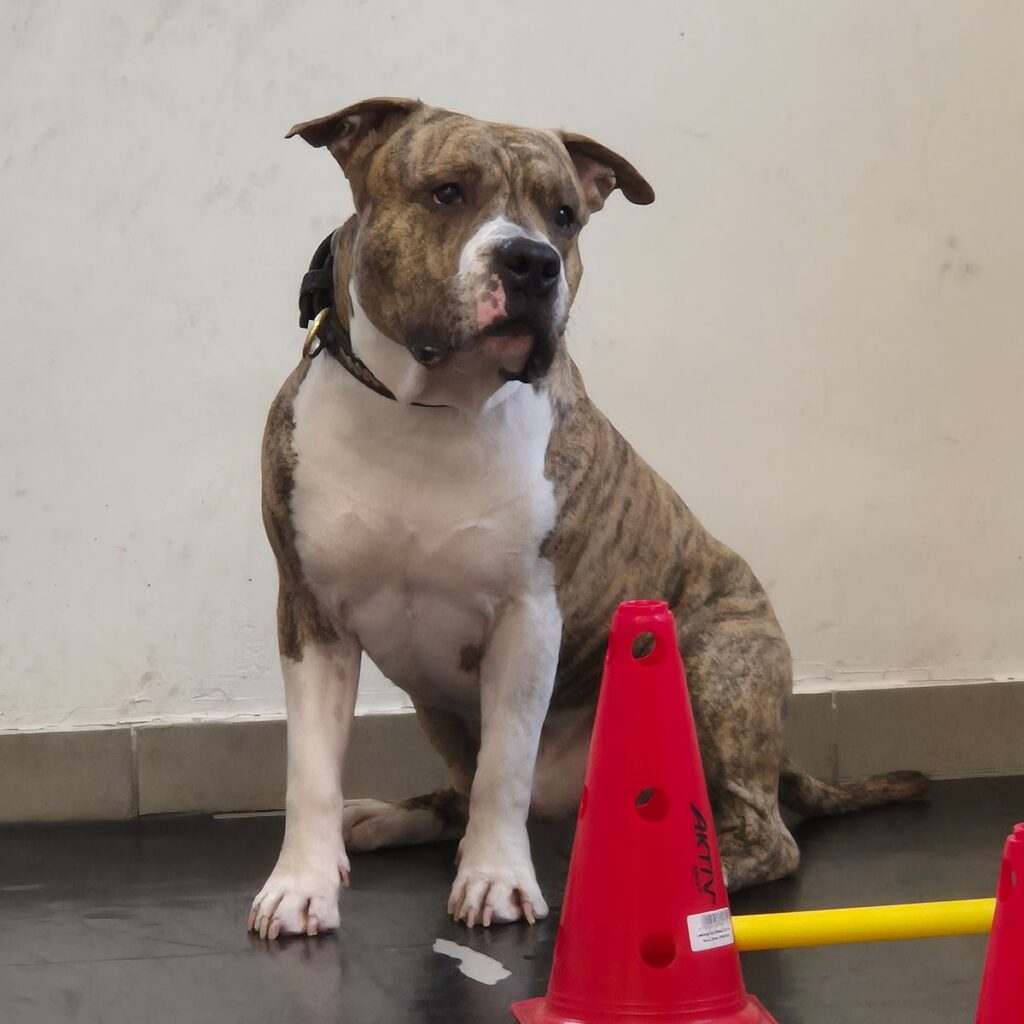 Kép #1 a Ildikó képből