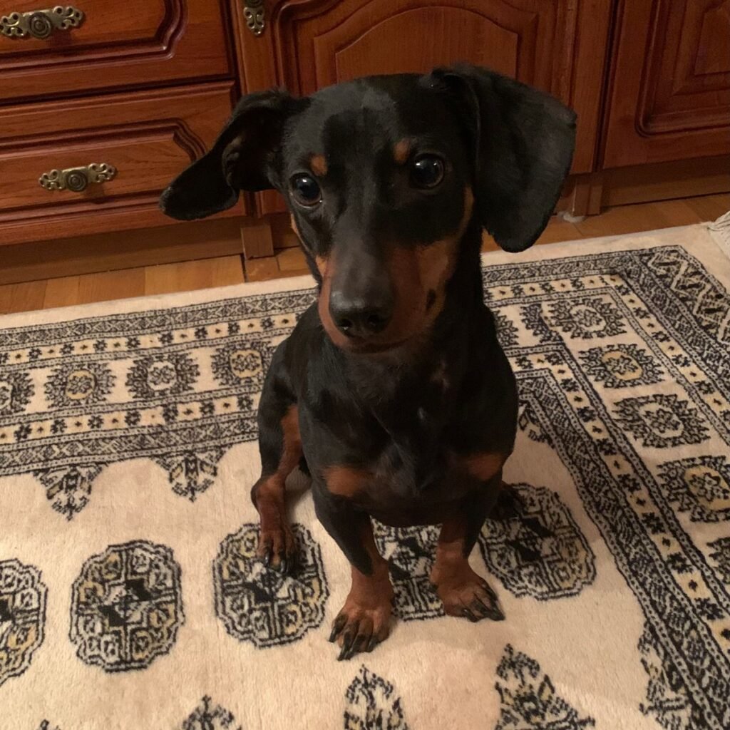 Kép #1 a Tamásné Faragó képből