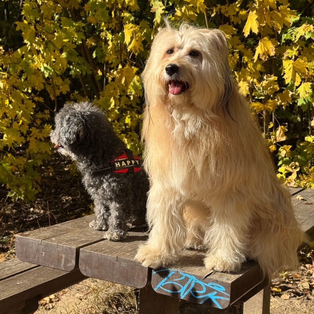 Kép #3 a Andrea Horvath képből