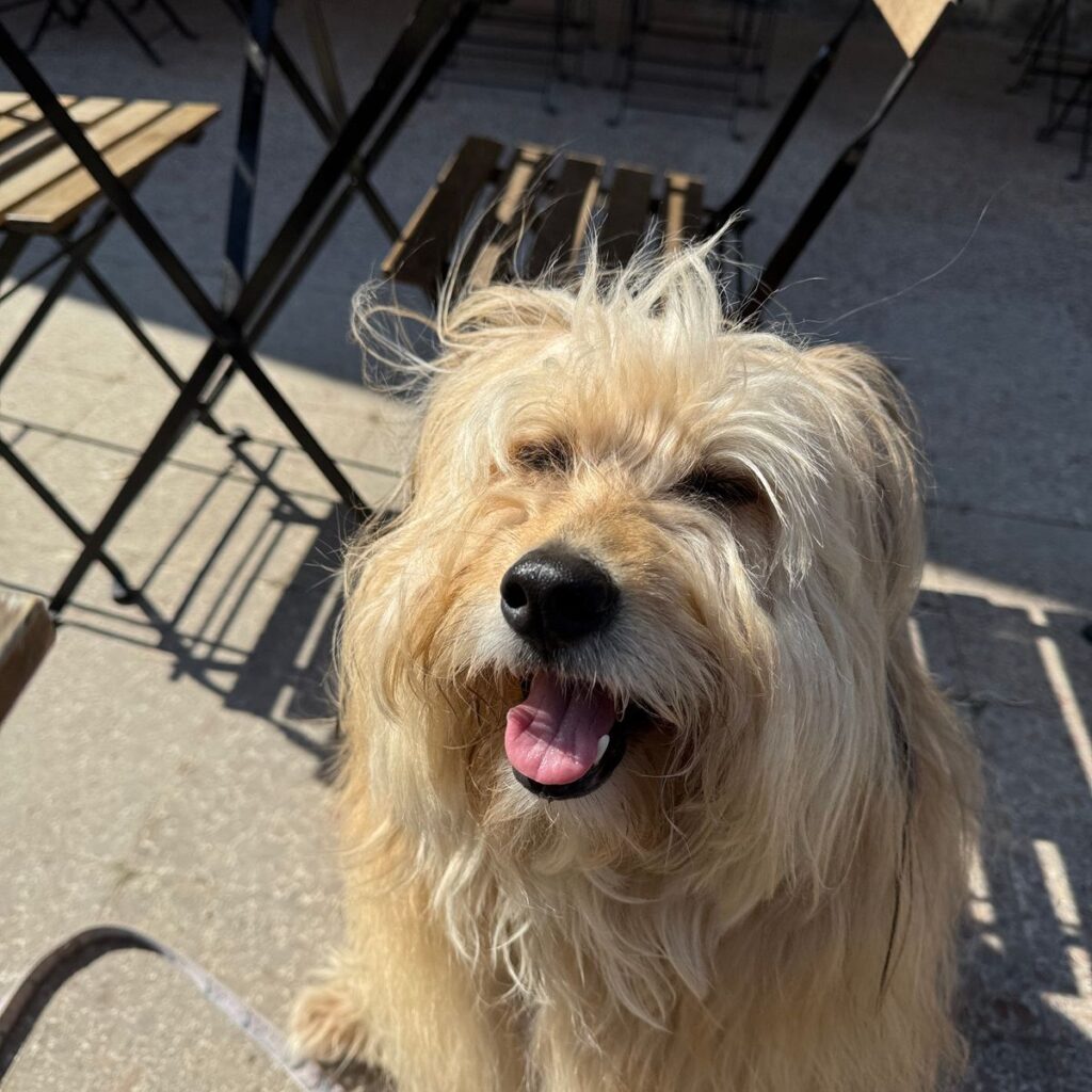 Kép #1 a Andrea Horvath képből