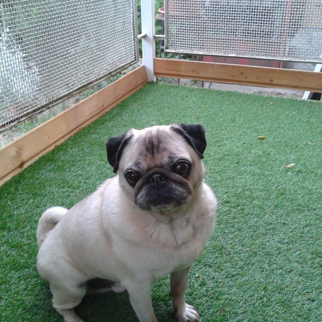 Kép #1 a Ági Szabadkai képből