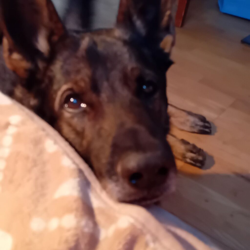 Kép #1 a Erzsébet K. képből