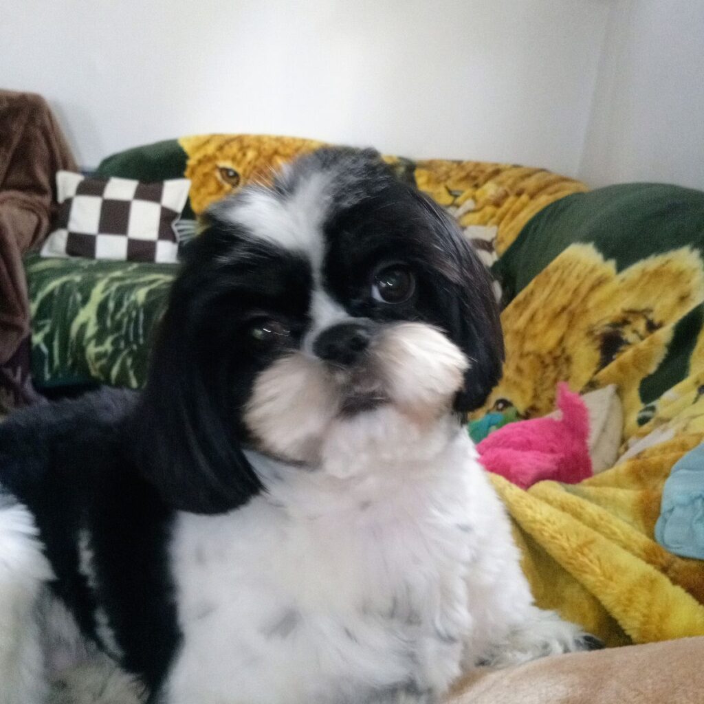 Kép #1 a Józsefné S. képből