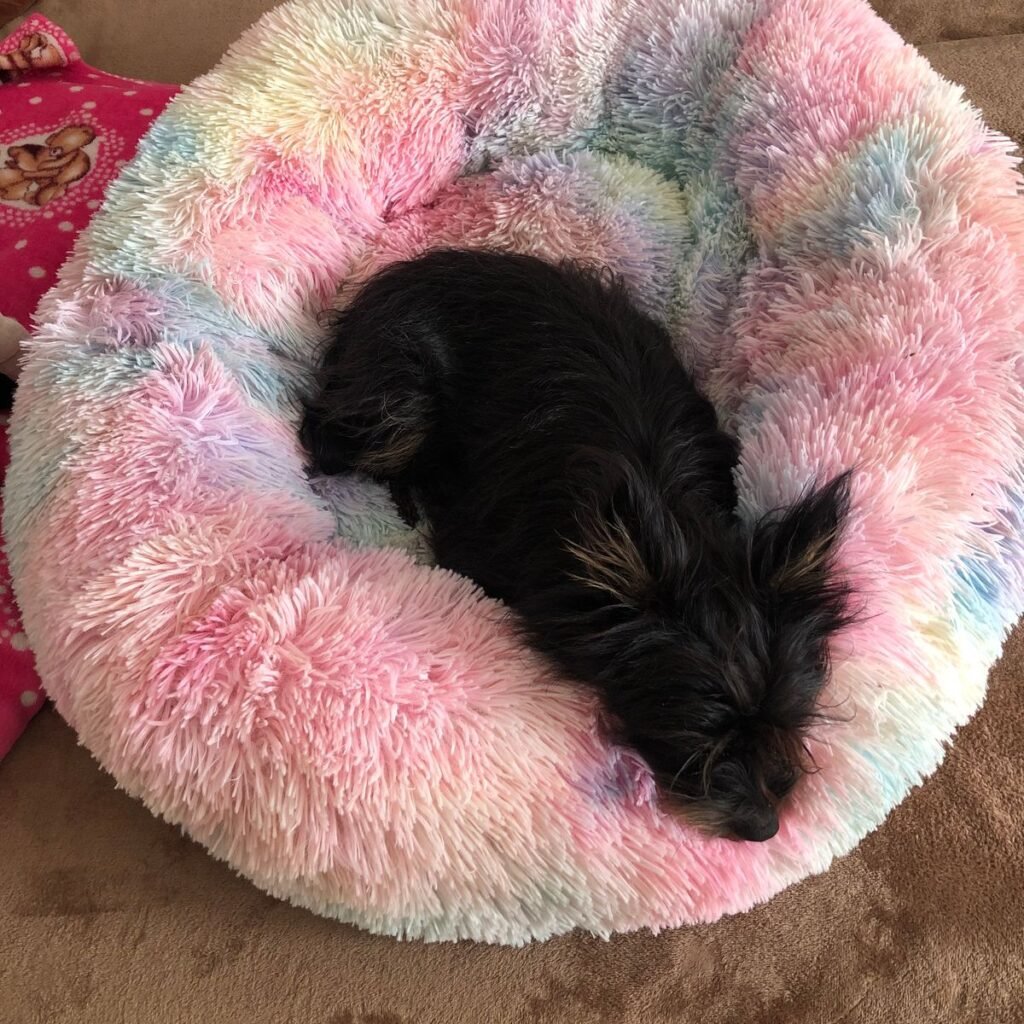 Kép #2 a Tunde B. képből