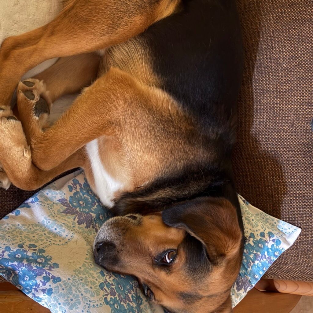 Kép #1 a Annamária képből