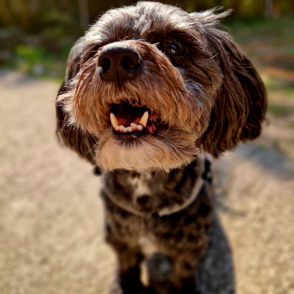 Kép #1 a Névtelen képből