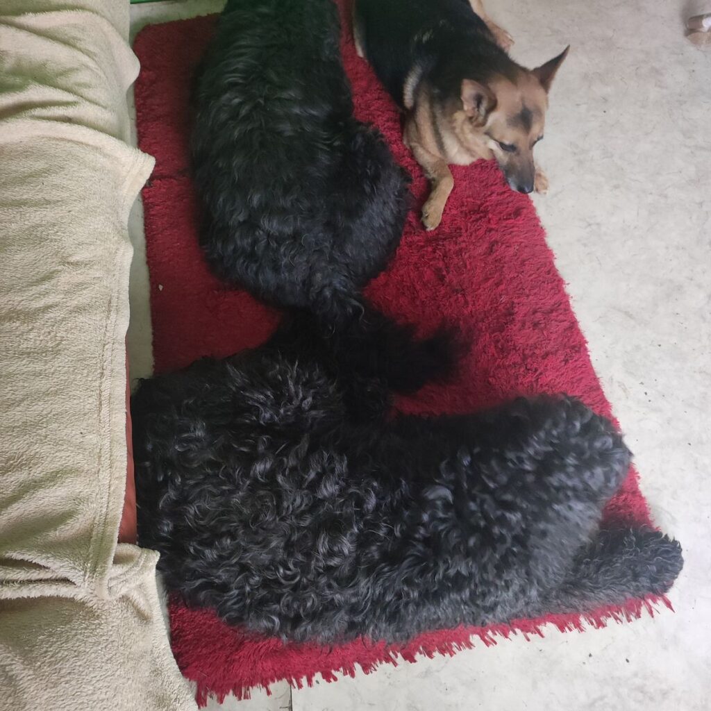 Kép #1 a Ildikó Nagy képből