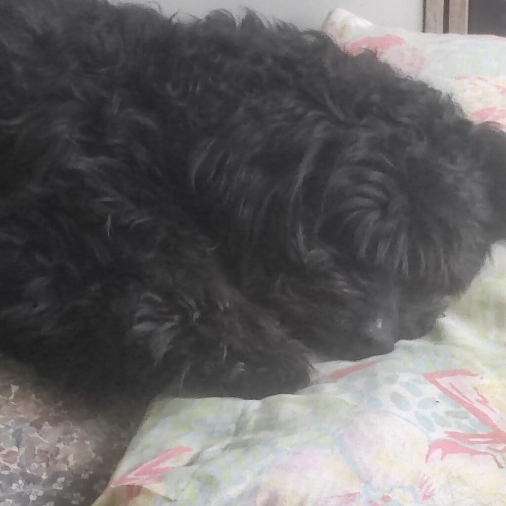 Kép #1 a Ildikó Nagy képből