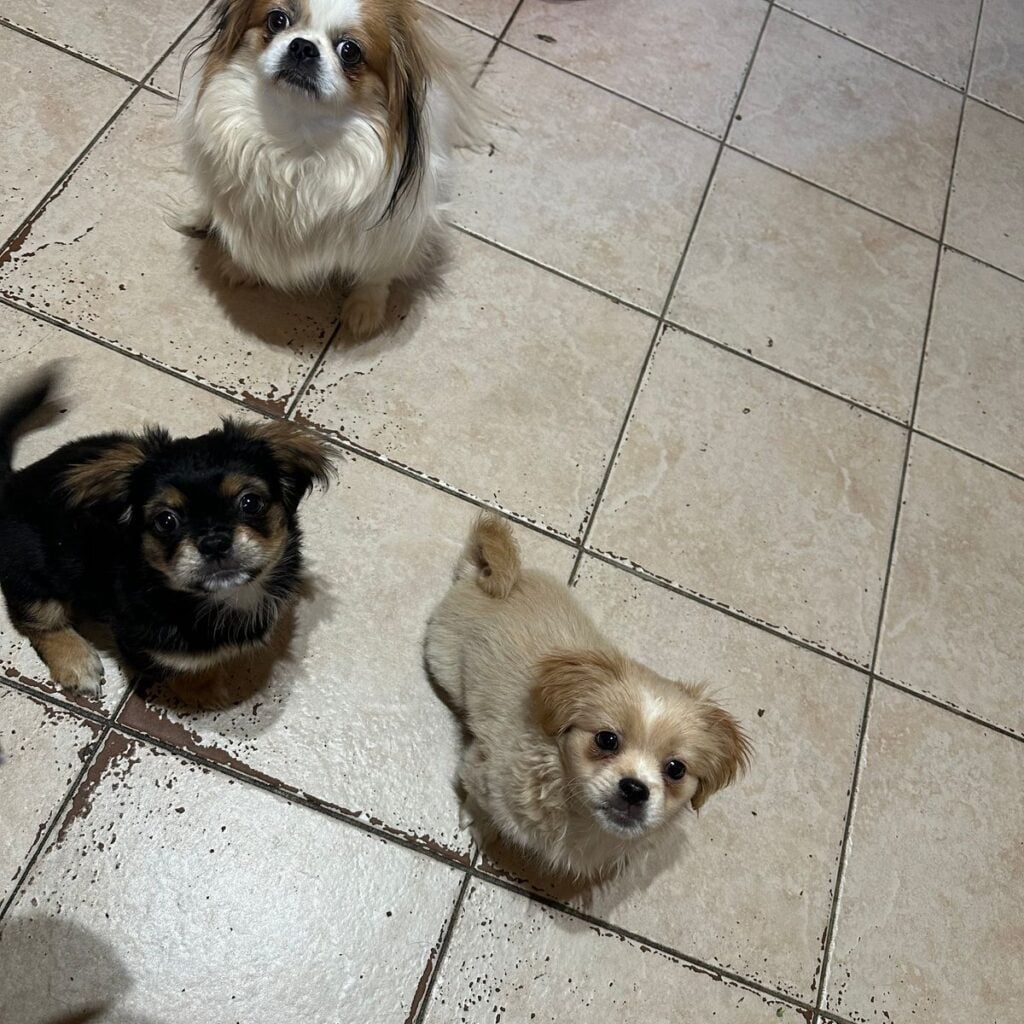 Kép #3 a Róbert Hammerl képből