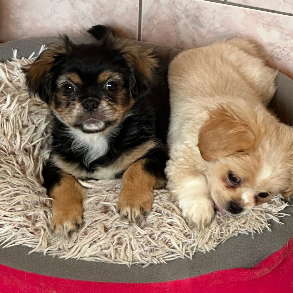 Kép #3 a Róbert Hammerl képből