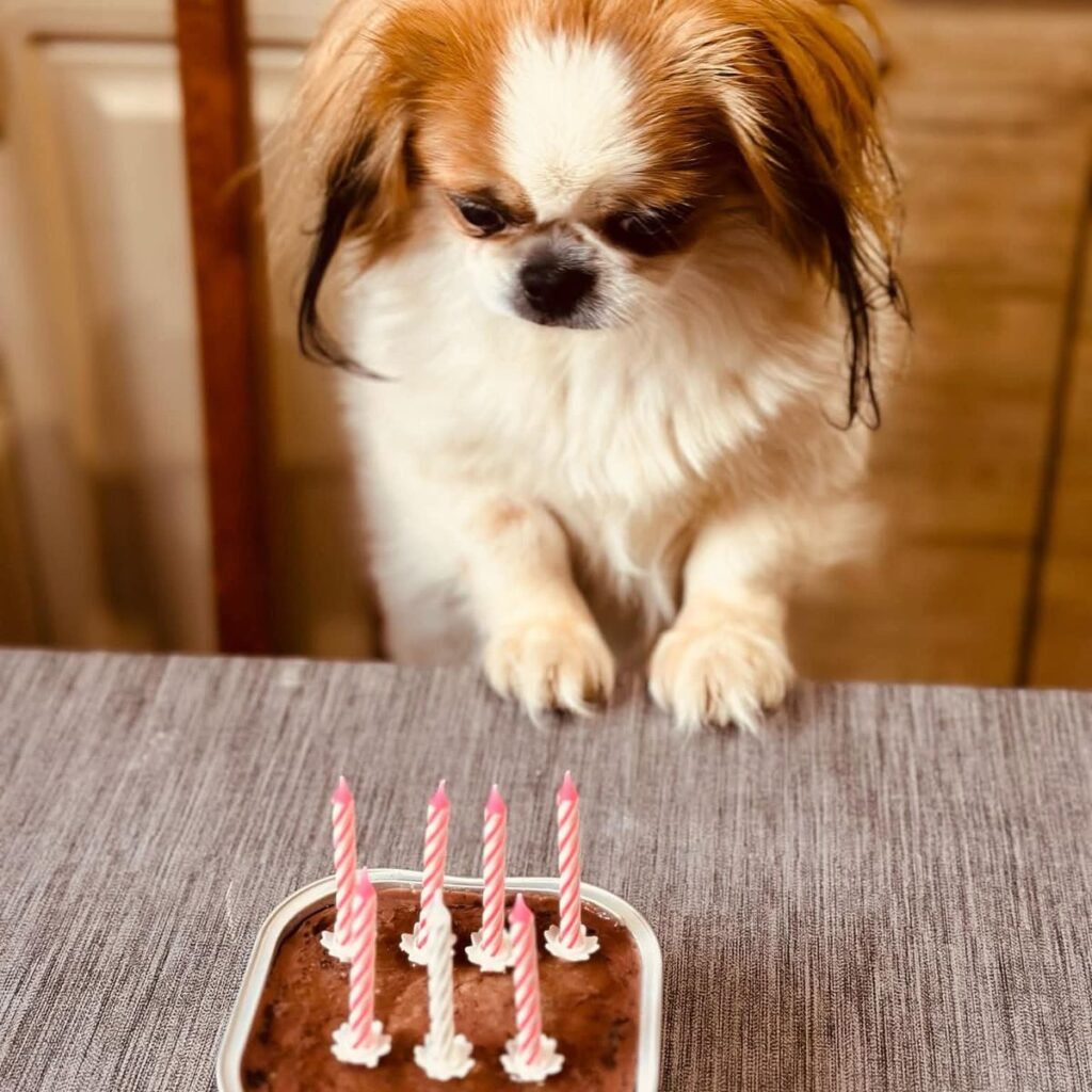 Kép #3 a Róbert Hammerl képből