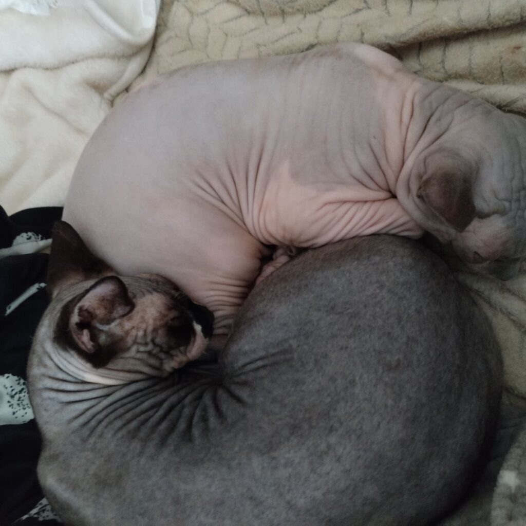 Kép #1 a Andrea S. képből