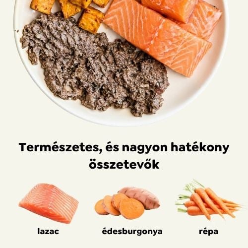 Ely Hipoallergén lazacos nedves kutyaeledel – 410 g 2 Ely Hipoallergén lazacos nedves kutyaeledel – 410 g - Image 2