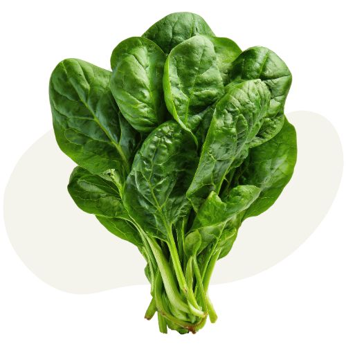 spinach