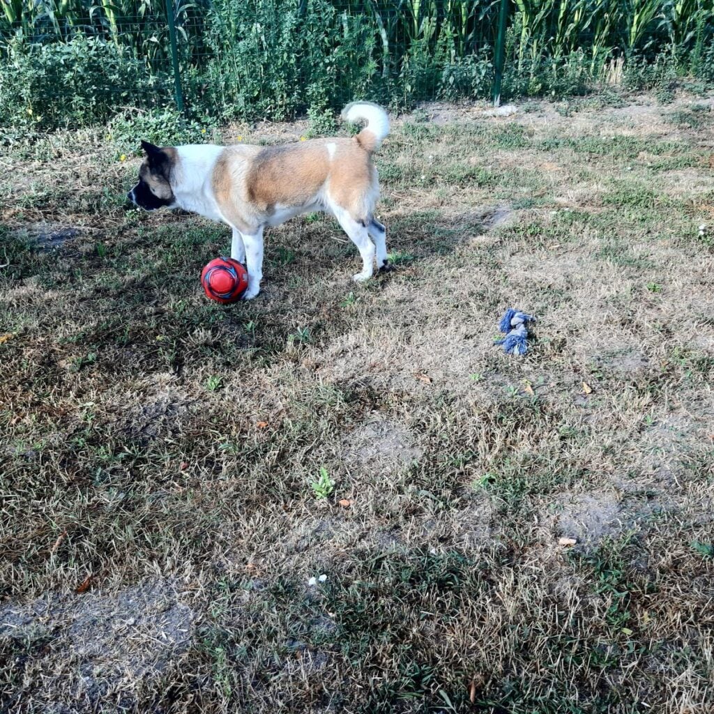 Kép #2 a Erzsébet képből