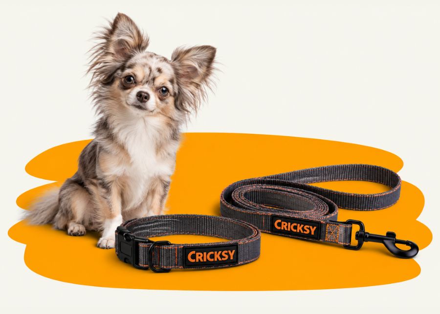 Cricksy