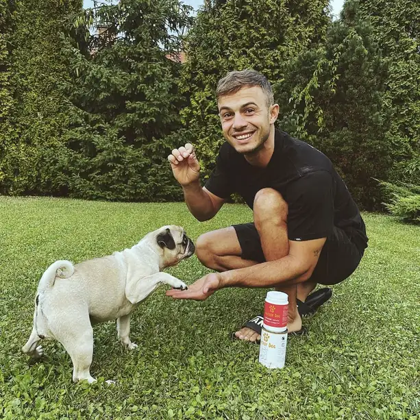 Dr. Csizmás Máté állatorvos a rendelőben